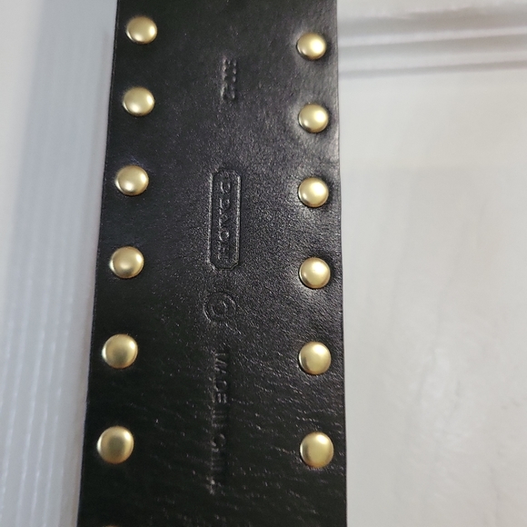 Belt - Picture 4 of 6